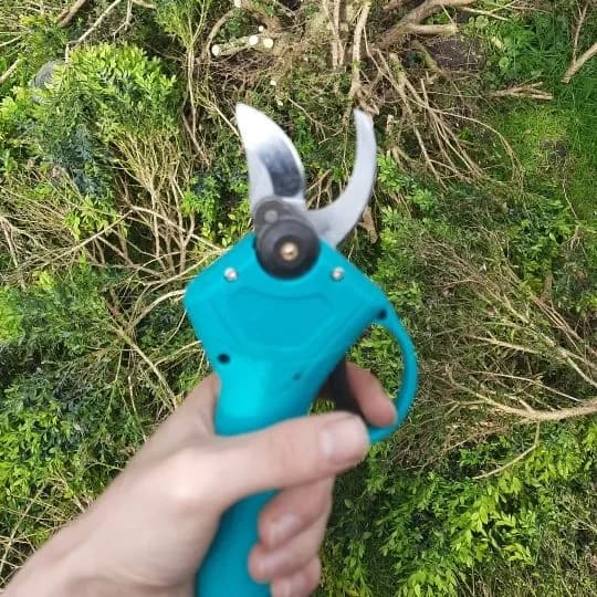 The pruning shears in the hand among cut branches in a garden